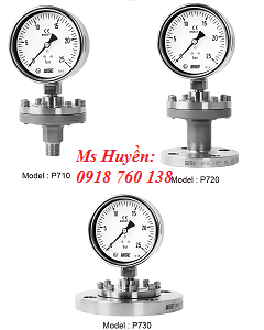 Đồng hồ áp suất dạng màng nối bích WISE P710, P720, P730